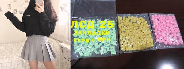 ГАЛЛЮЦИНОГЕННЫЕ ГРИБЫ Бородино