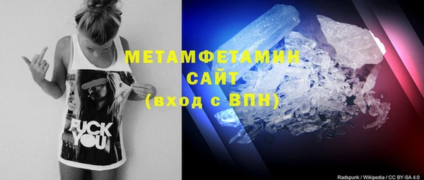 ГАЛЛЮЦИНОГЕННЫЕ ГРИБЫ Бородино