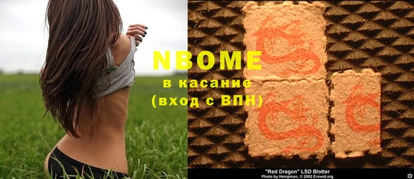 ГАЛЛЮЦИНОГЕННЫЕ ГРИБЫ Бородино