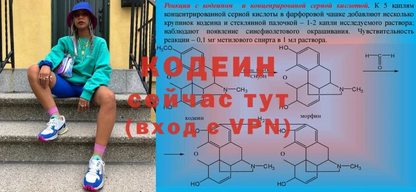 ГАЛЛЮЦИНОГЕННЫЕ ГРИБЫ Бородино