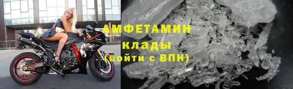 ГАЛЛЮЦИНОГЕННЫЕ ГРИБЫ Бородино