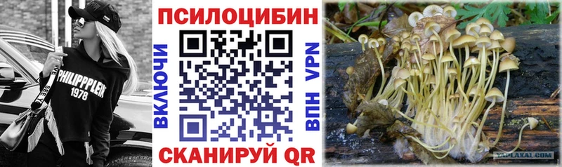 где купить наркотик  МЕГА   Галлюциногенные грибы Magic Shrooms  Десногорск 